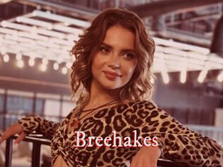Breehakes
