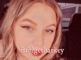 Bridgetharkey