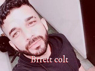 Brrett_colt