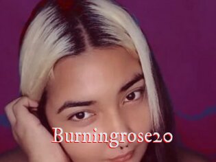 Burningrose20