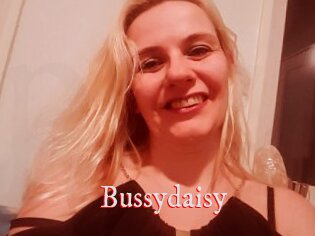 Bussydaisy