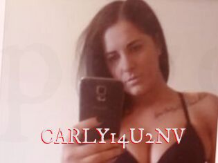 CARLY14U2NV