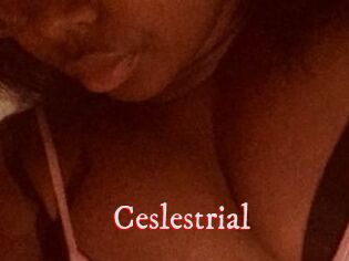 Ceslestrial