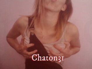 Chaton31