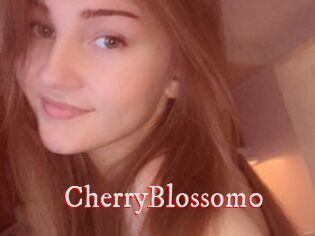 CherryBlossom0