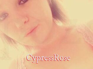 Cypress_Rose