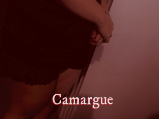Camargue