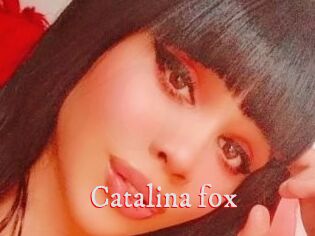 Catalina_fox
