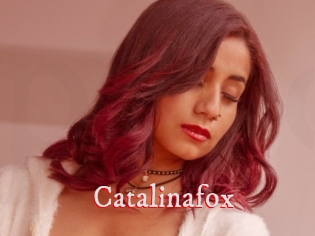 Catalinafox