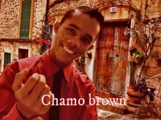 Chamo_brown