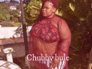 Chubby_bule