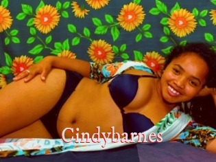 Cindybarnes