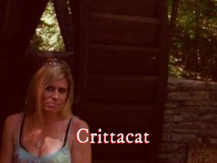 Crittacat