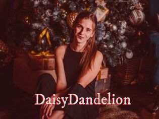 DaisyDandelion