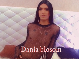 Dania_blosom