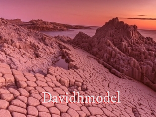 Davidhmodel