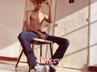 Dikey