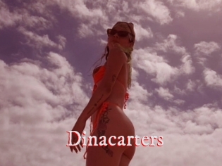 Dinacarters