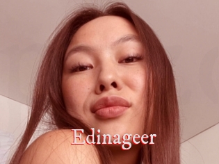 Edinageer