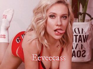 Eeveecass