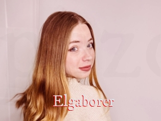 Elgaborer
