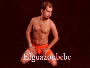 Elguazonbebe