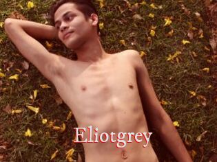 Eliotgrey