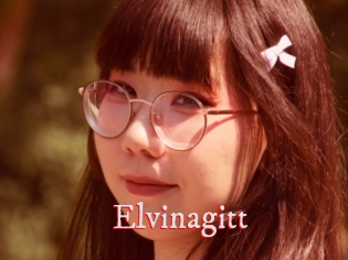 Elvinagitt
