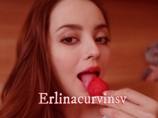 Erlinacurvinsv