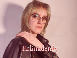 Erlinadendy