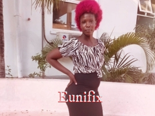 Eunifix