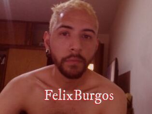 FelixBurgos