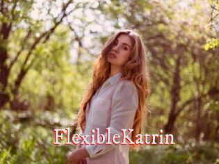FlexibleKatrin