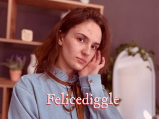Felicediggle