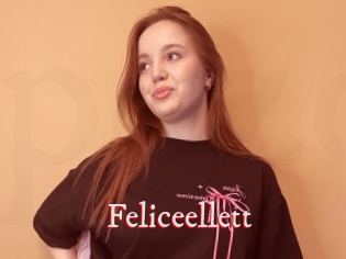Feliceellett