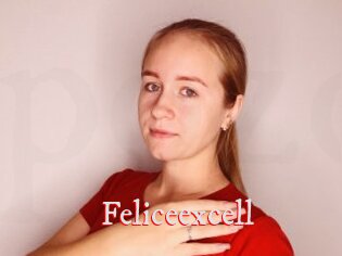 Feliceexcell