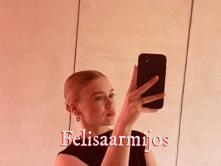 Felisaarmijos