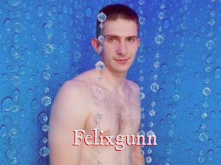 Felixgunn