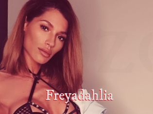 Freyadahlia