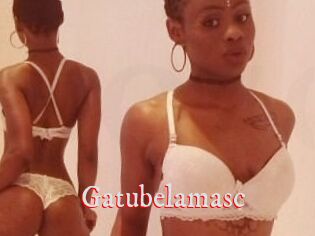 Gatubela_masc