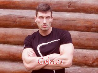 Gektor