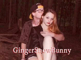 GingerSnowBunny