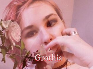 Grothia