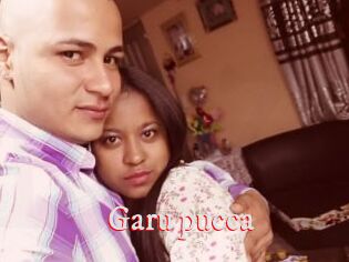 Garu_pucca