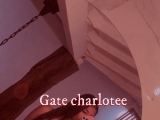 Gate_charlotee