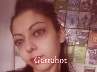 Gattahot