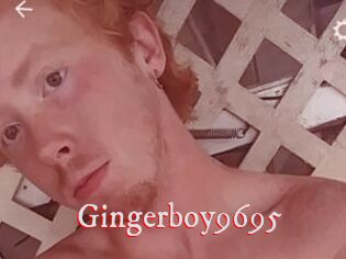 Gingerboy9695