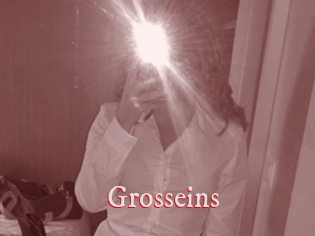 Grosseins