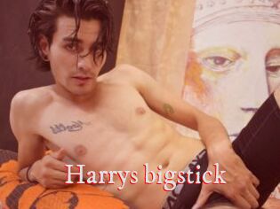 Harrys_bigstick