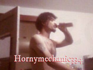 Hornymechanic334
